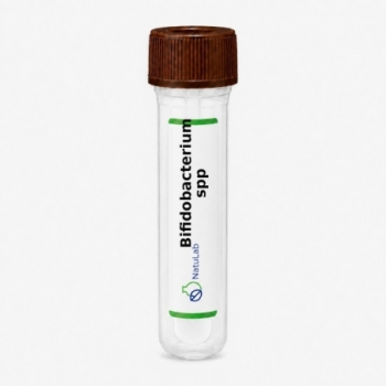 Bifidobacterium spp.