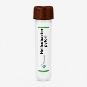Helicobacter pylori
